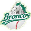 Bravos de Leon