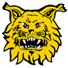 Tampereen Ilves 2
