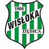 KS Wisloka Debica