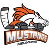 Melbourne Mustangs